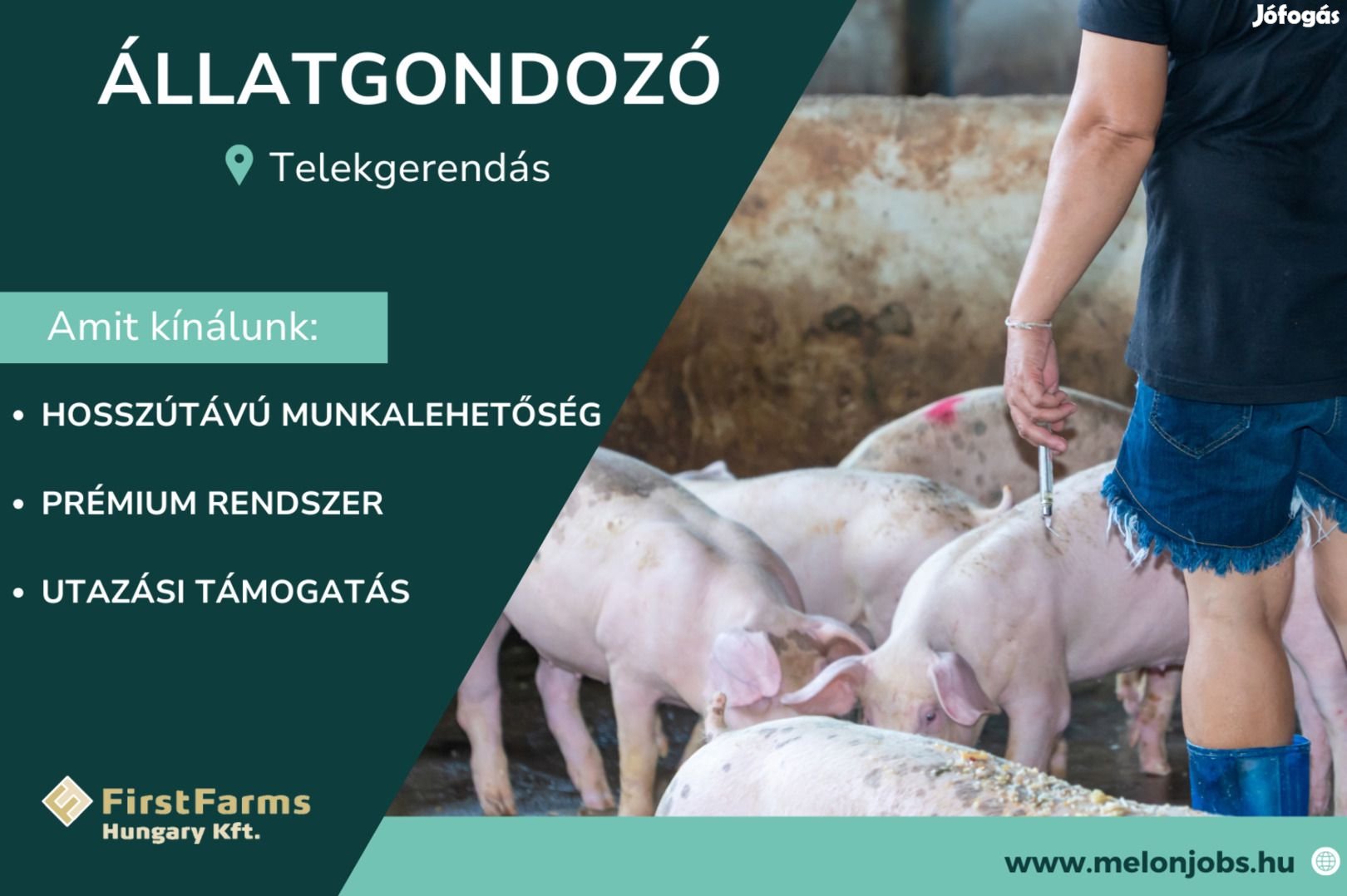 Állatgondozó - fiaztató