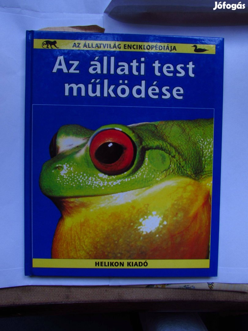 Állati Test müködése