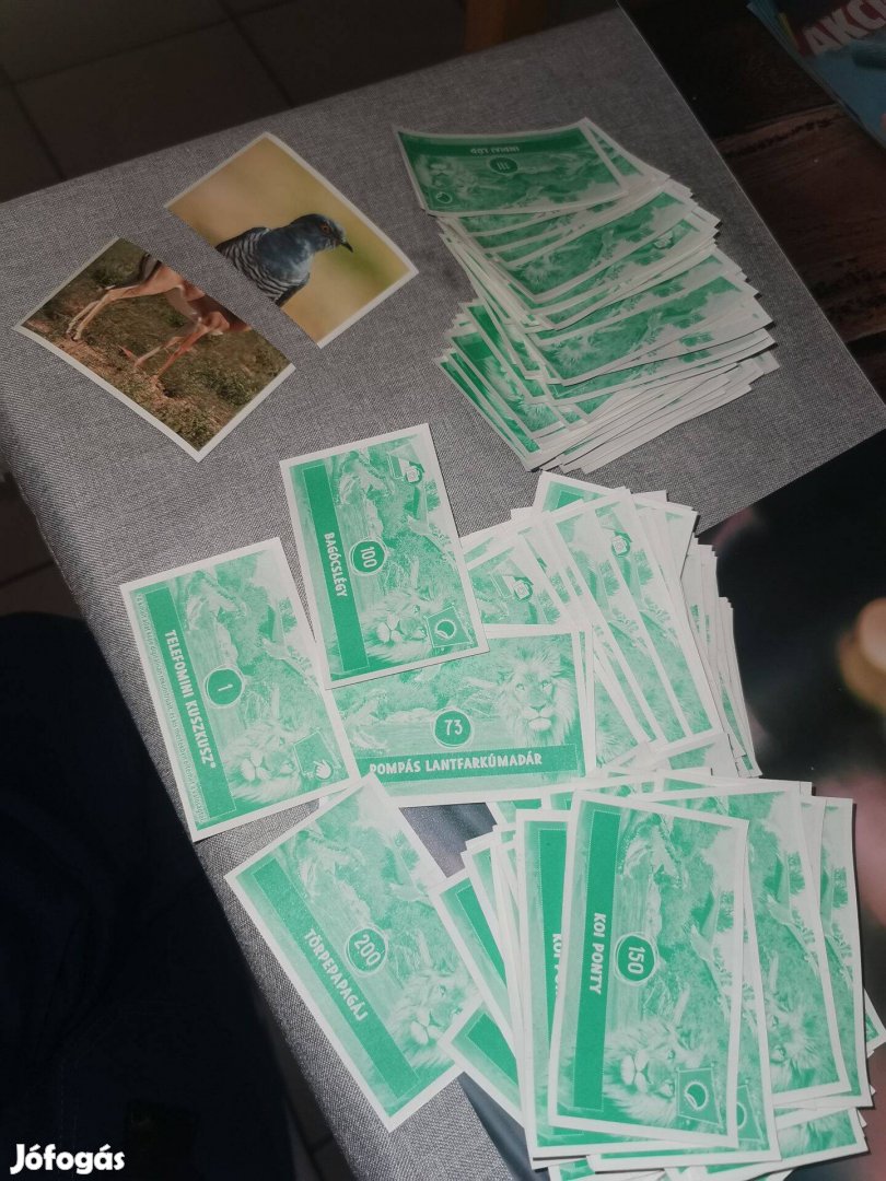 Állati rekordok 2 Spar matrica keresek üres albumot