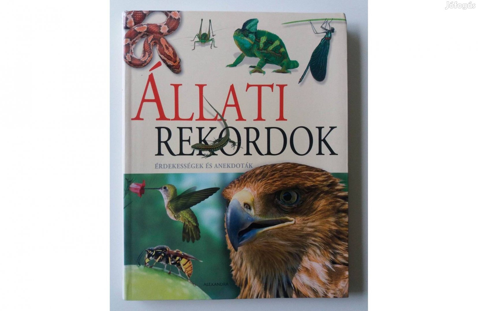 Állati rekordok (Érdekességek és anekdoták)