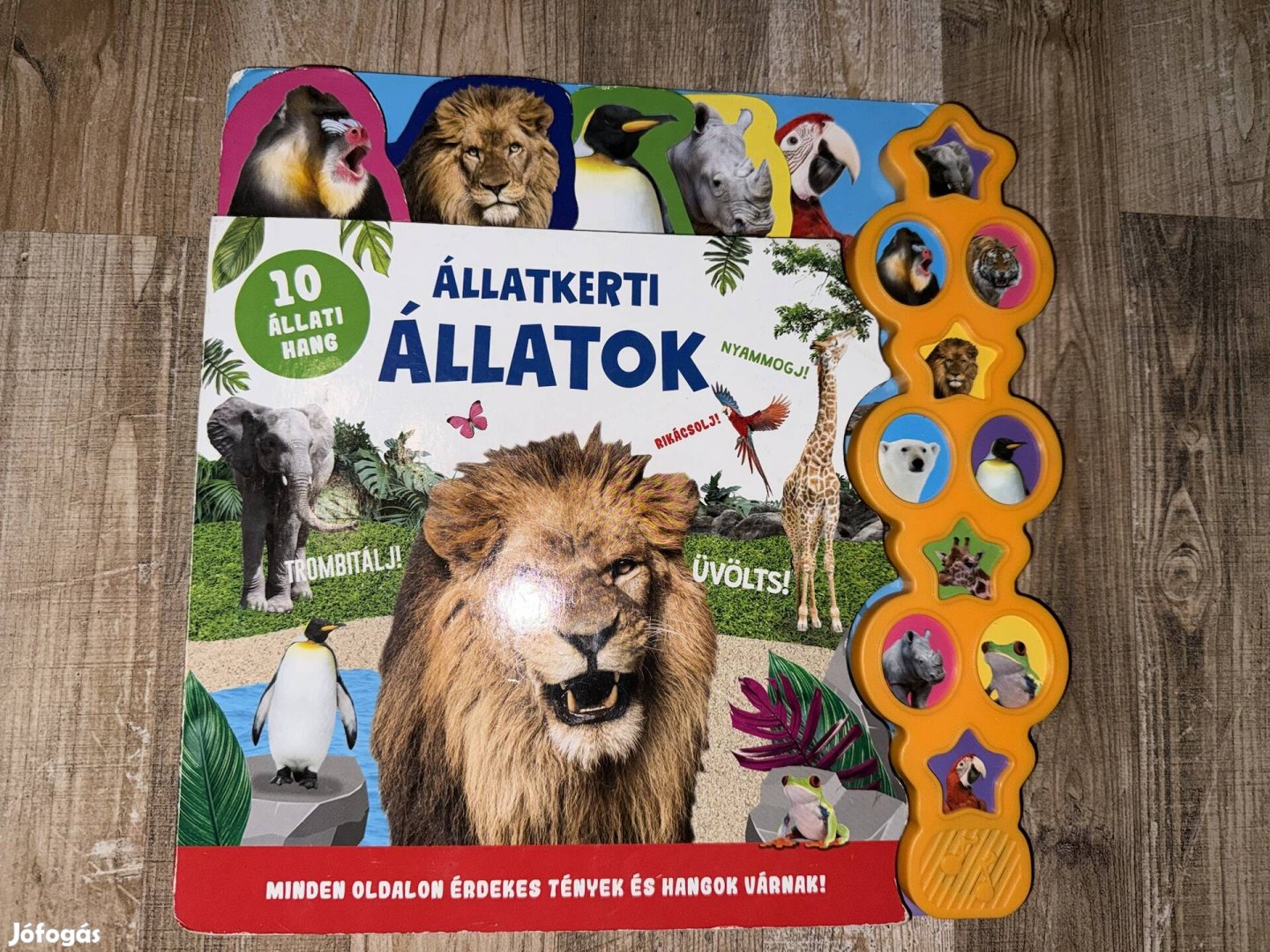 Állatkerti állatok - Hallgasd meg a hangomat!