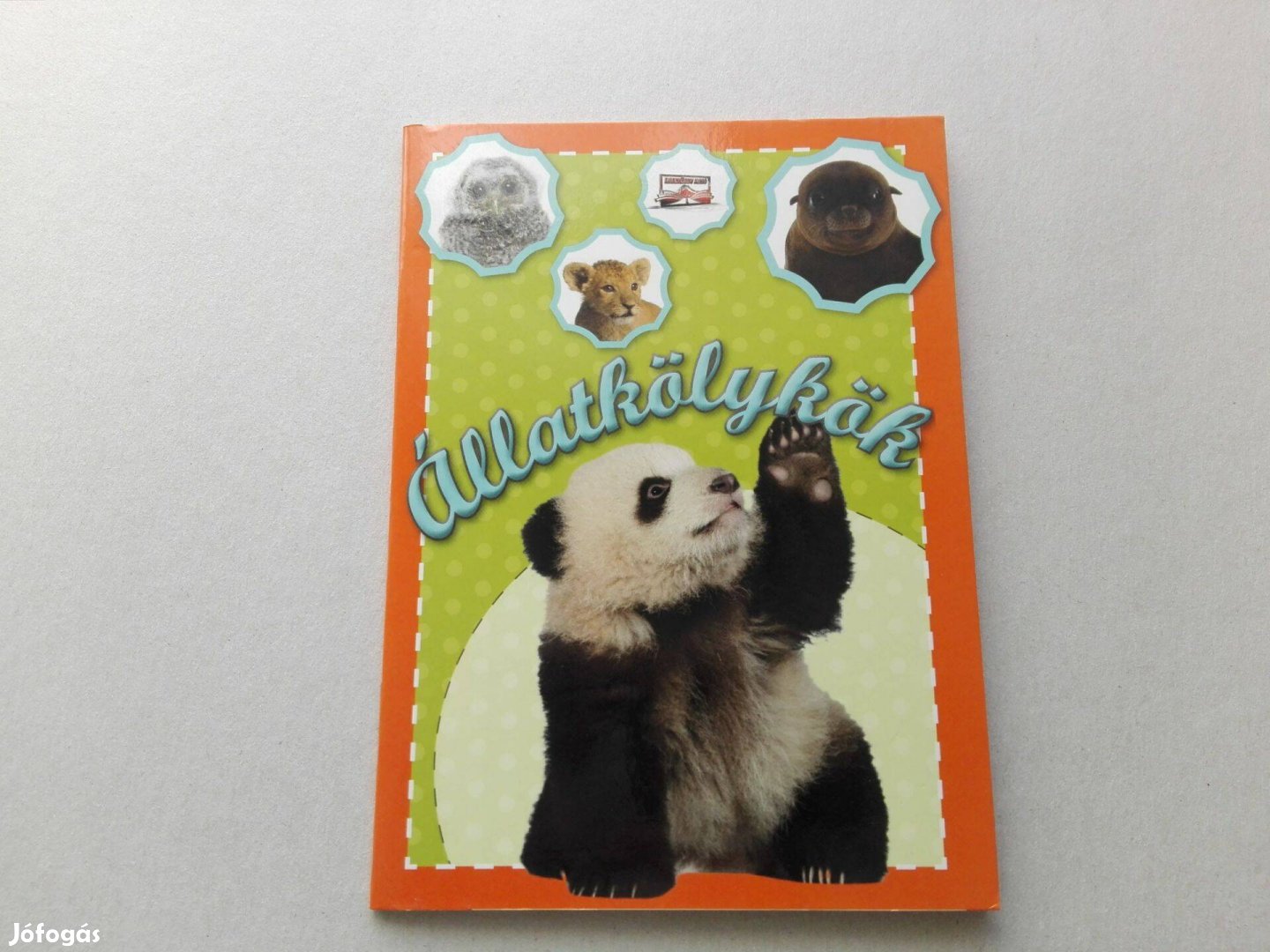 Állatkölykök - Új ismeretterjesztő füzet gyermeknek