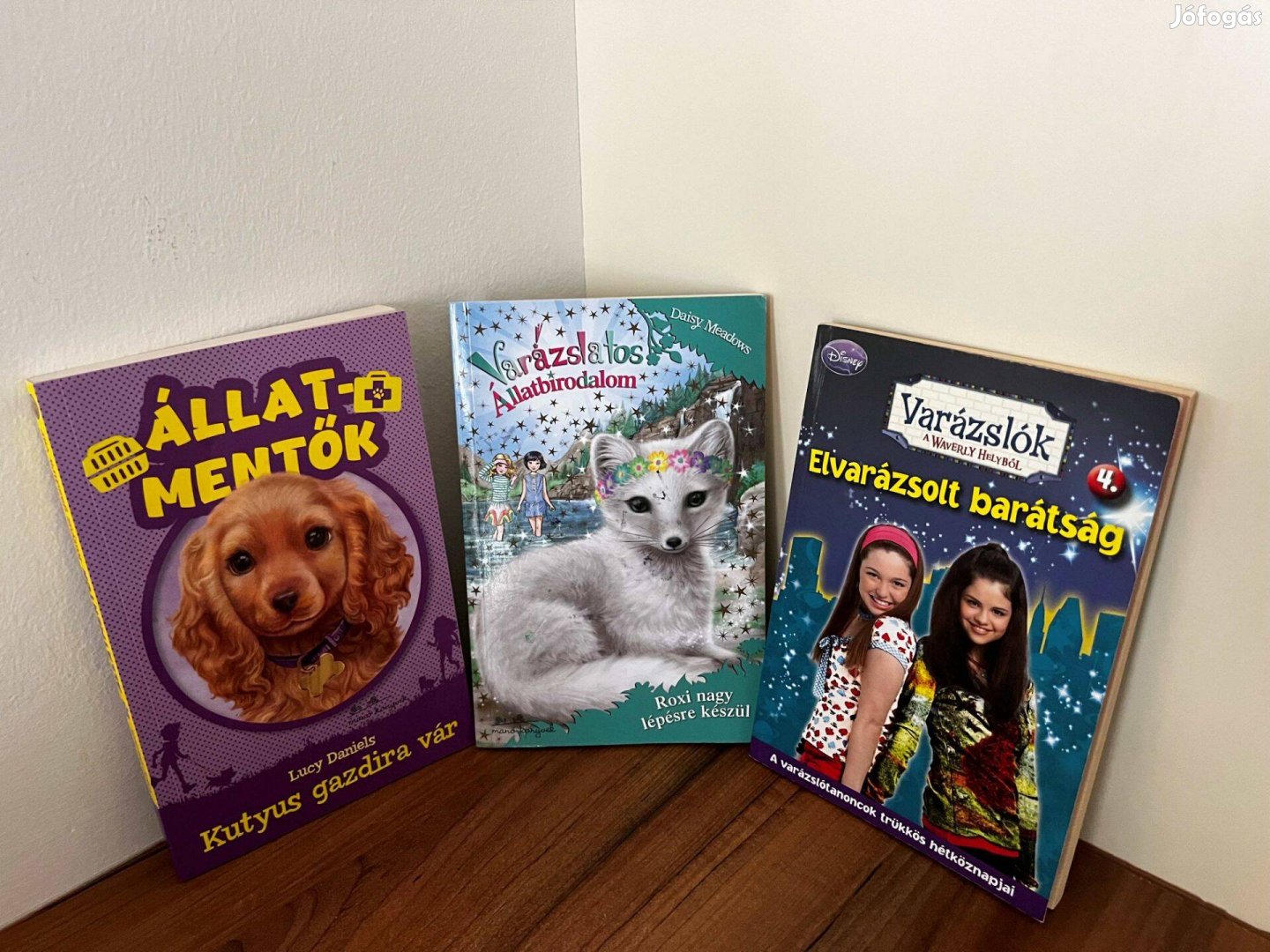 Állatmentők Elvarázsolt barátság ifjúsági könyv gyerek könyv