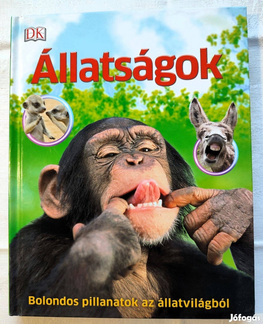 Állatságok -Bolondos pillanatok az állatvilágból