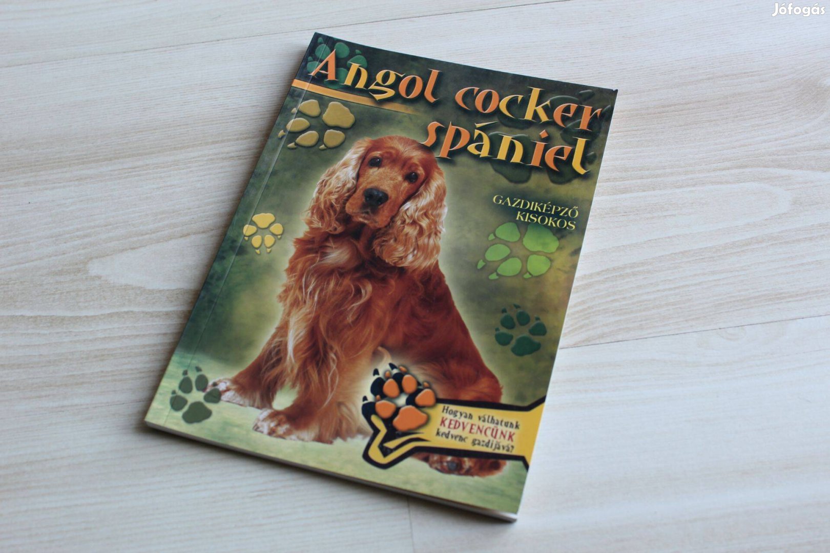 Állattartók kézikönyve - Gazdiképző kisokos Angol cocker spániel
