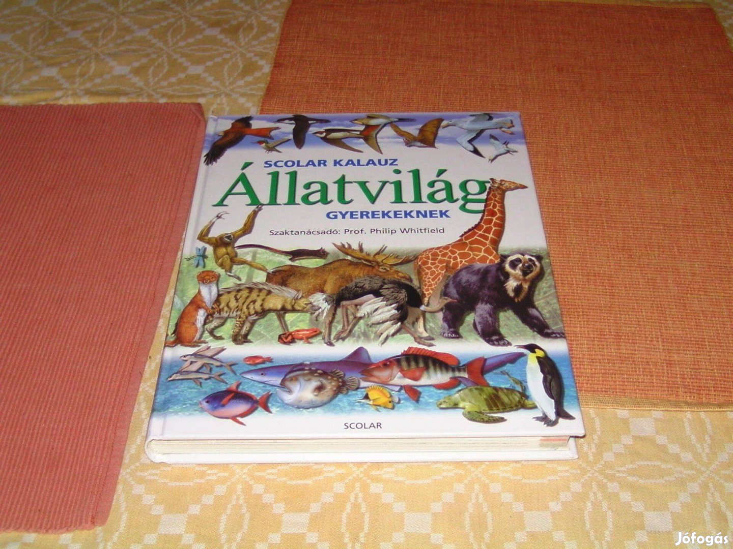 Állatvilág gyerekeknek c. könyv