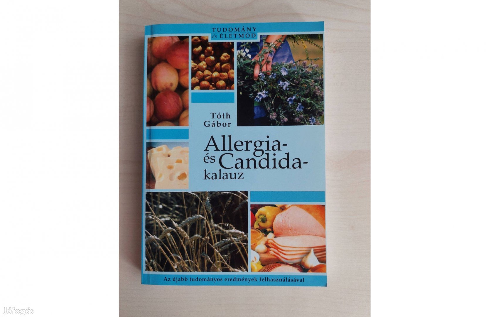 Allergia - és Candida kalauz