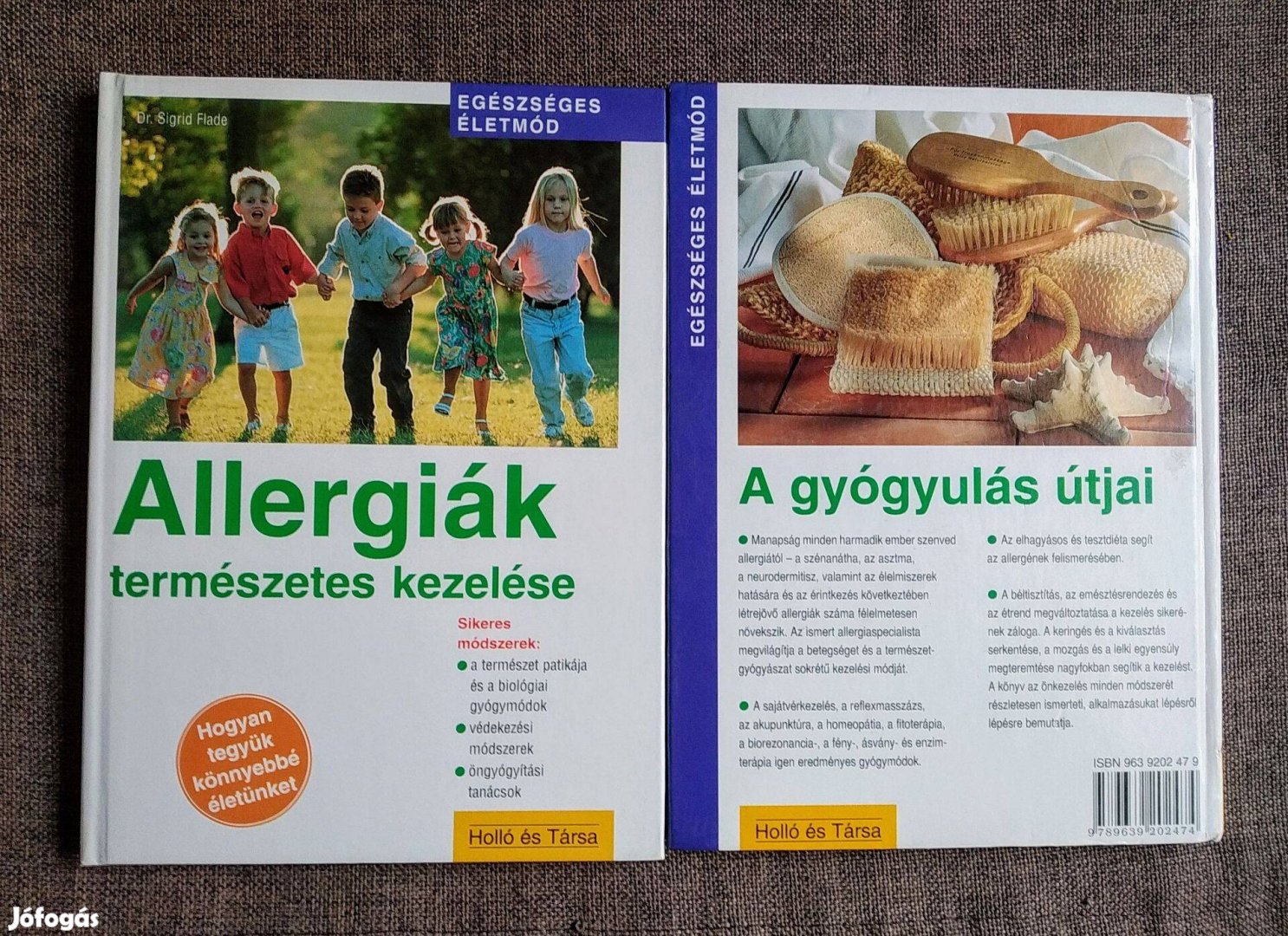 Allergiák természetes kezelése (Egészséges életmód) Sigrid Dr. Flad