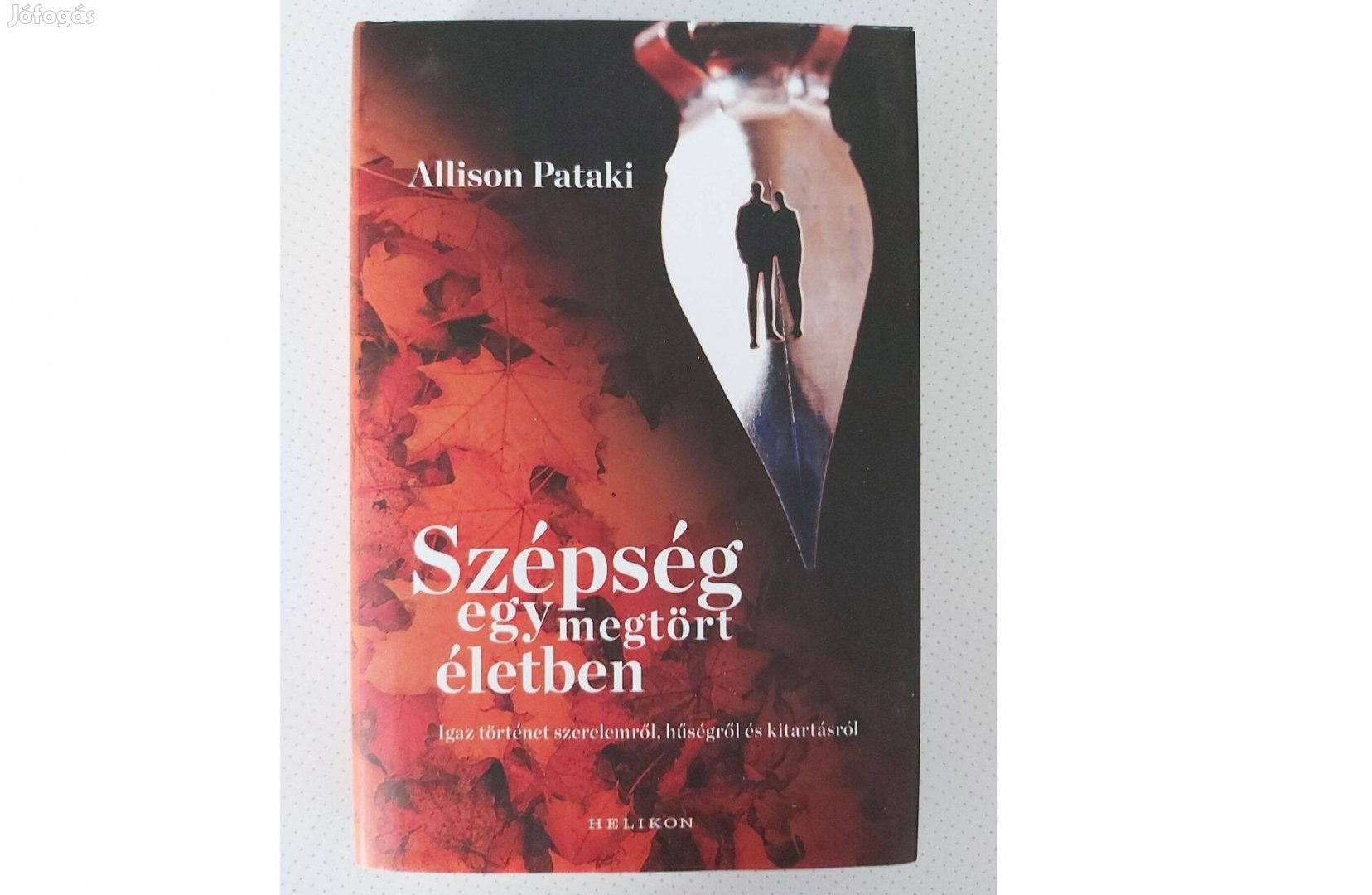Allison Pataki: Szépség egy megtört életben