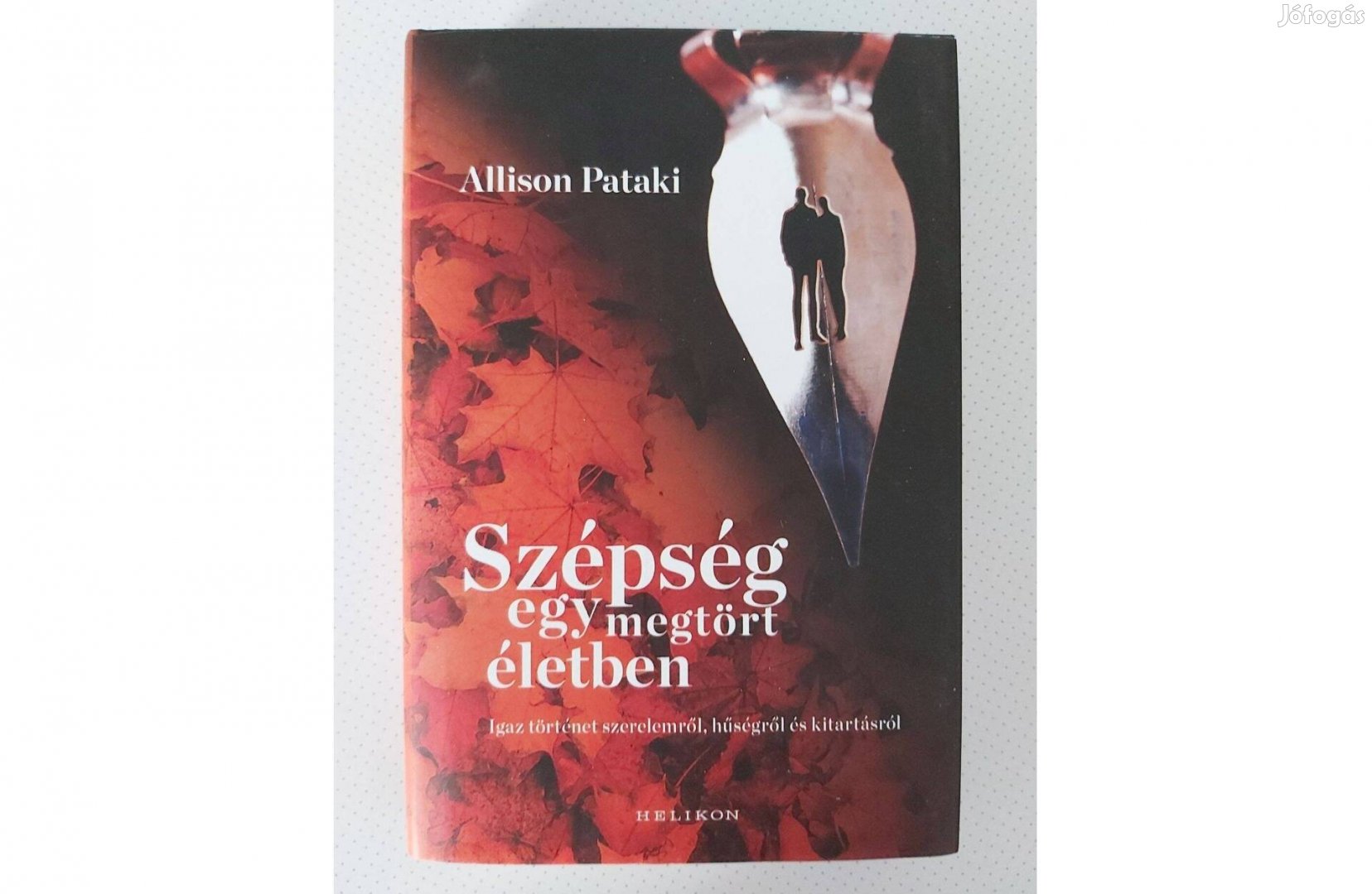 Allison Pataki: Szépség egy megtört életben
