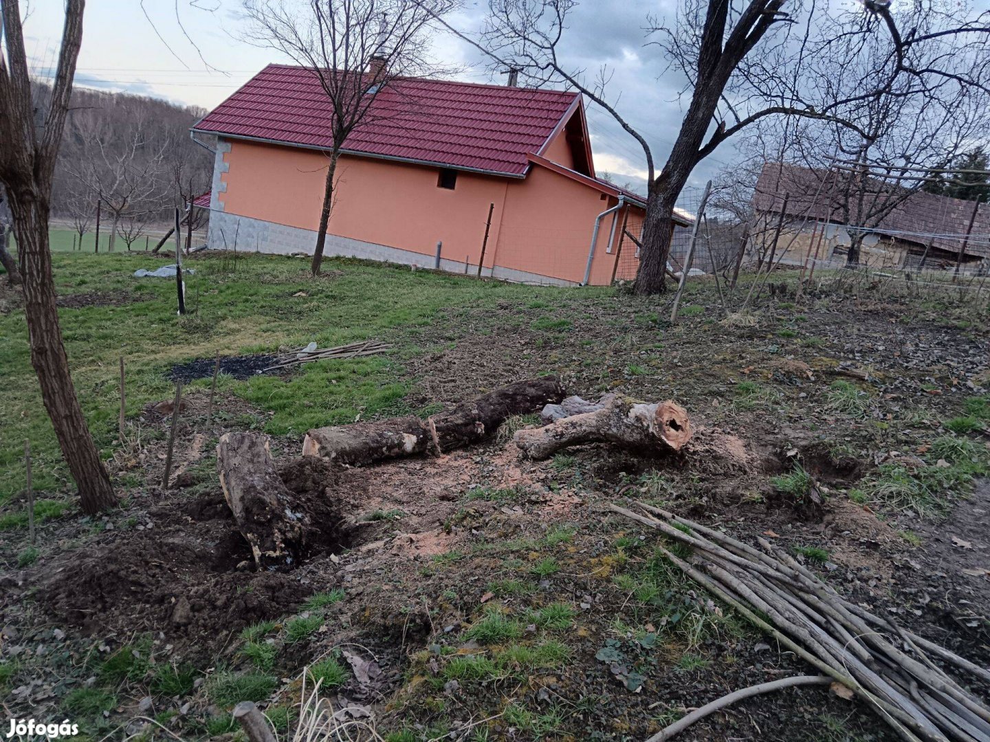 Almafa rönk bútor deszkának-füstöléshez -műgyantás asztal lapnak is