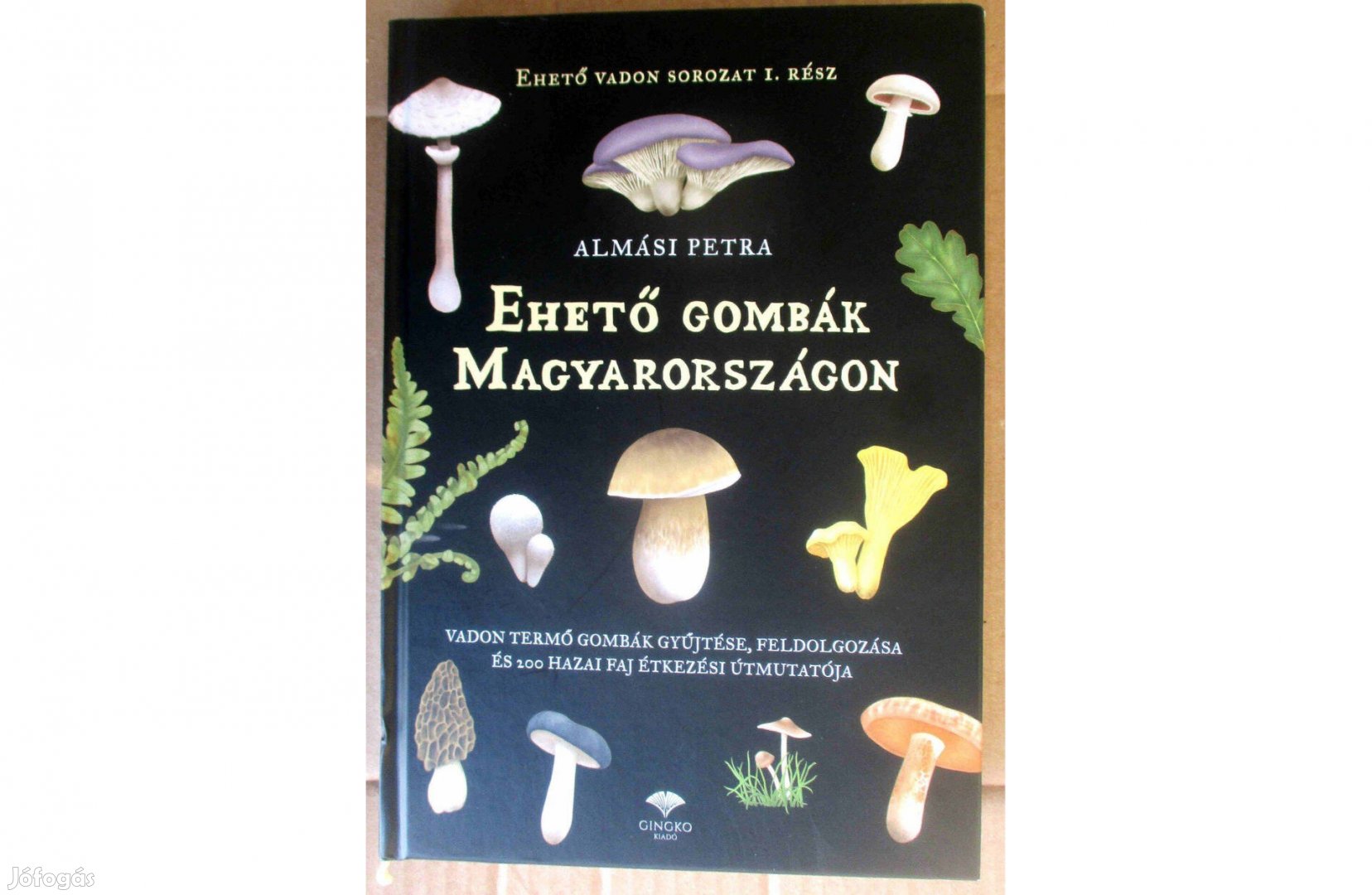 Almási Petra Ehető gombák Magyarországon