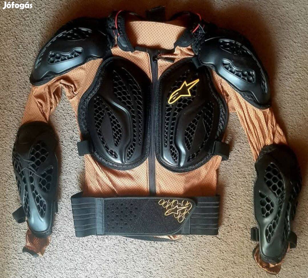 Alpinestar protektoring
