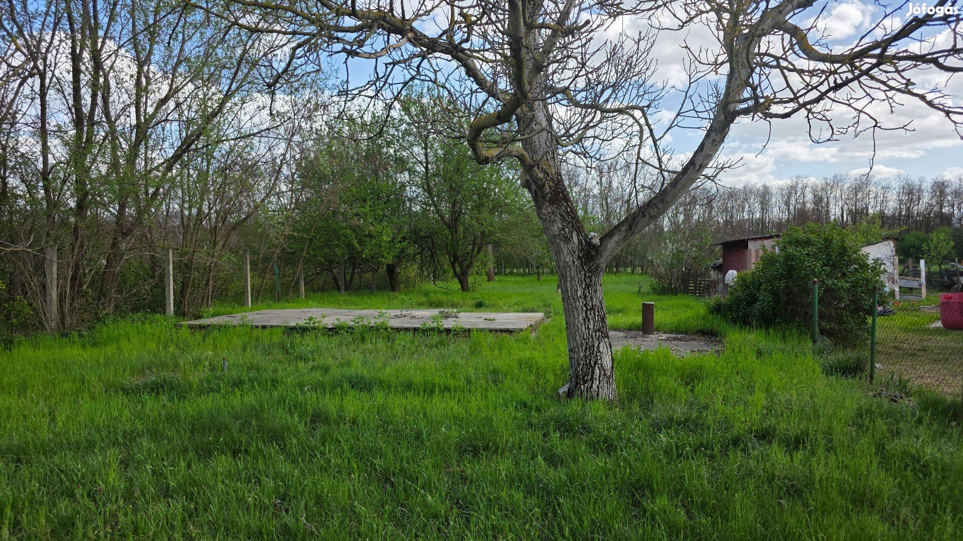 Alsójózsán a Szordasi út mellett 503 m2-es telek kiadó