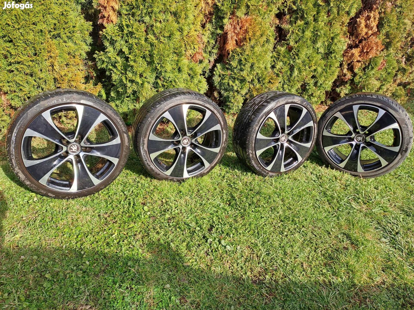 Alufelni 5x100 r17