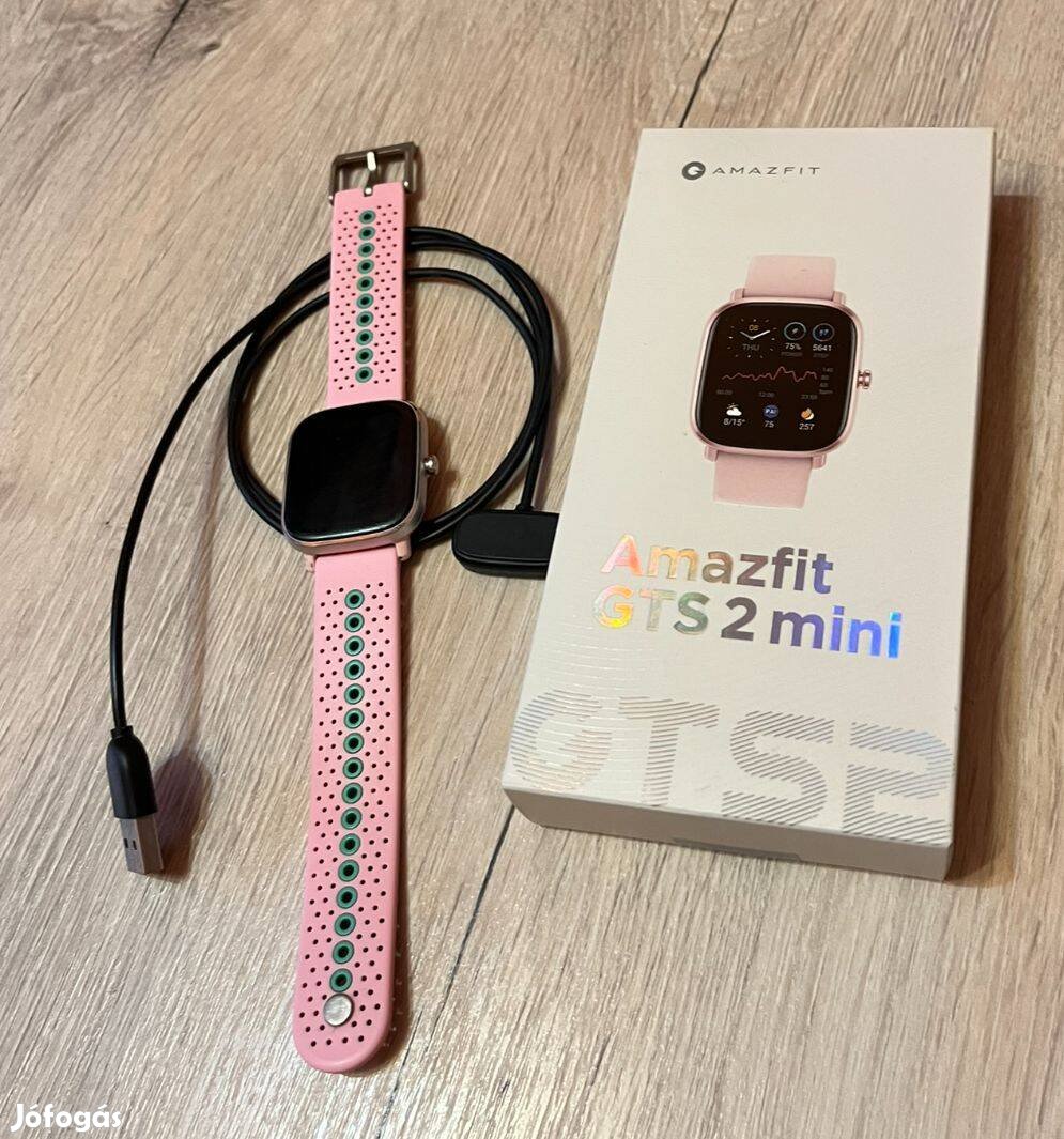 Amazfit GTS 2 Mini