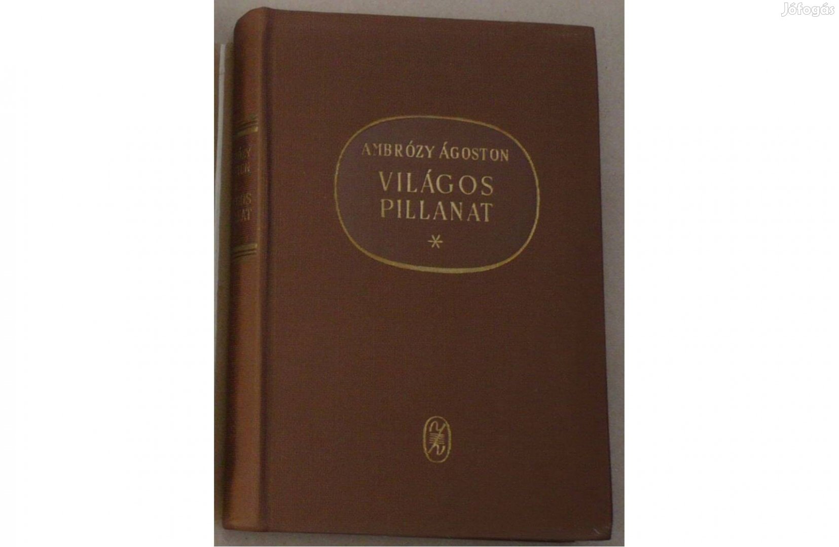 Ambrózy Ágoston Világos pillanat Schumann élete