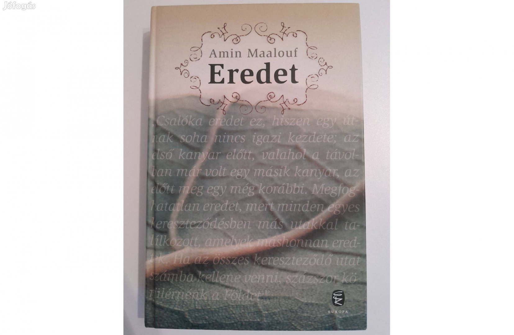 Amin Maalouf Eredet