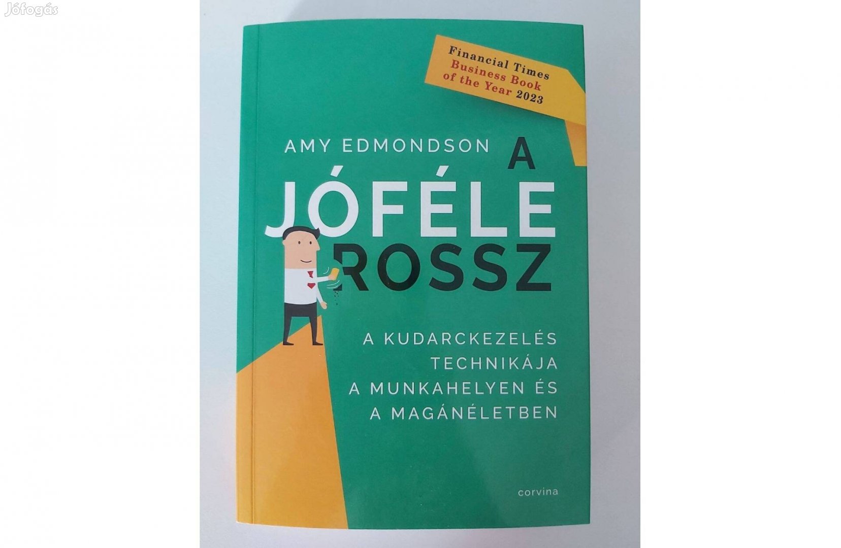 Amy Edmondson: A jóféle rossz