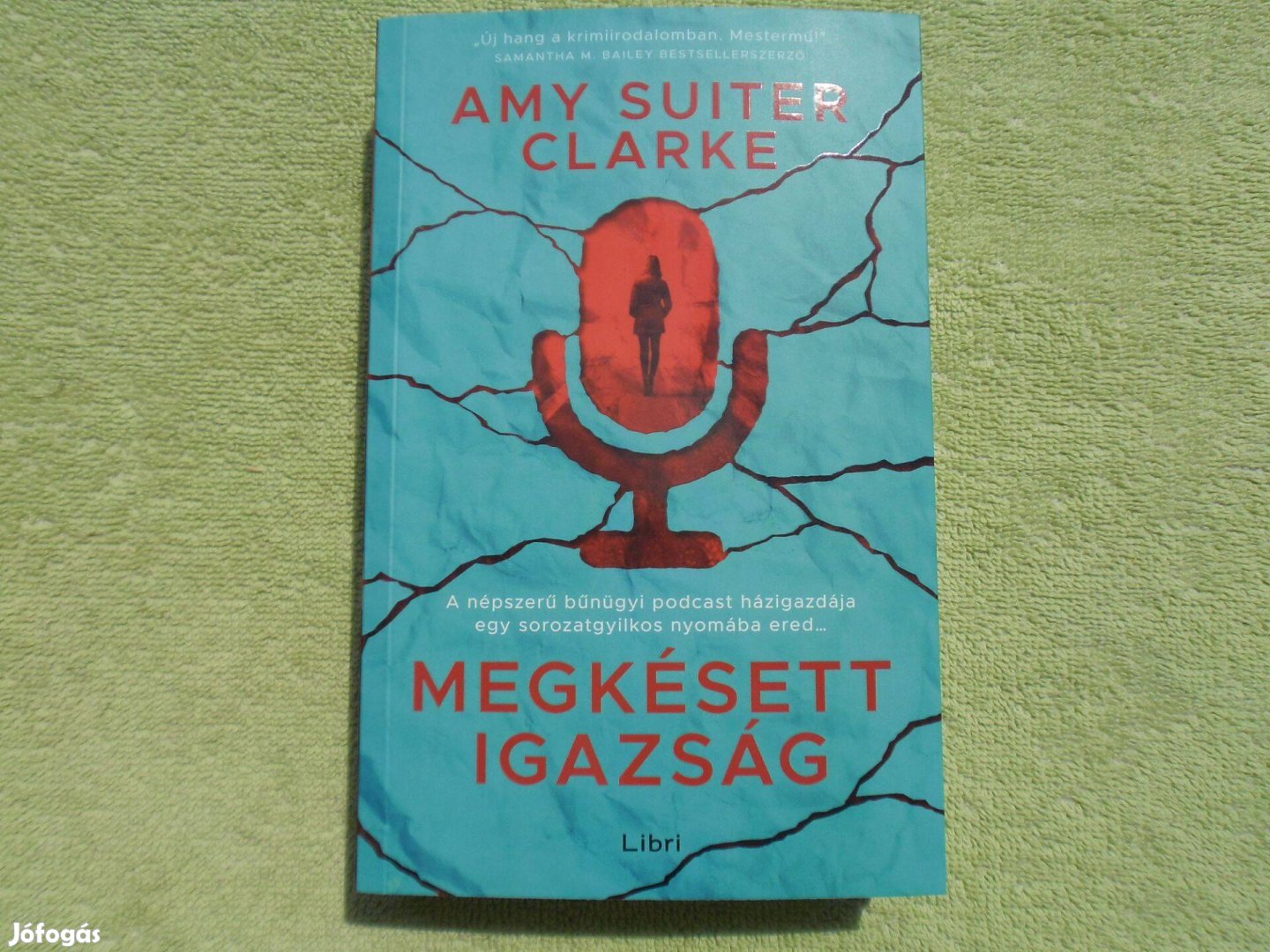 Amy Suiter Clarke: Megkésett igazság