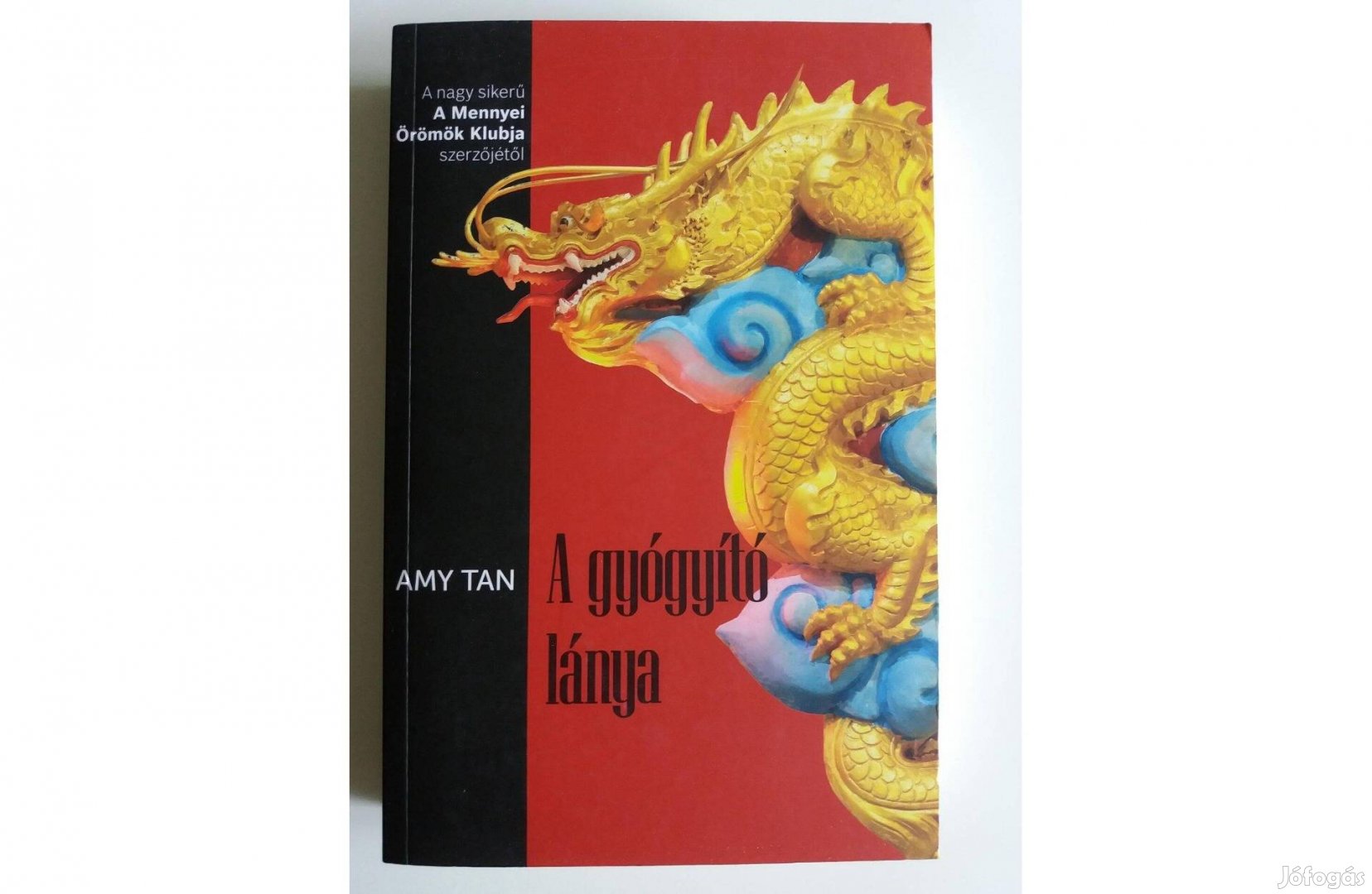 Amy Tan: A gyógyító lánya