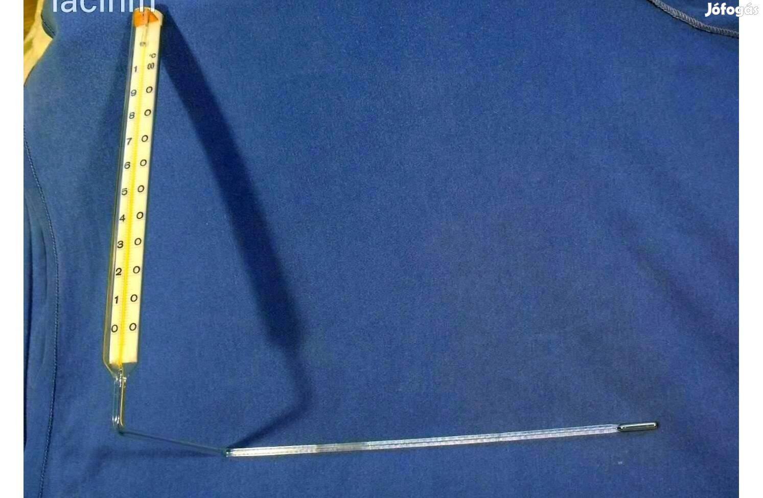 Analóg laboratóriumi hőmérő 100°C-ig. Új