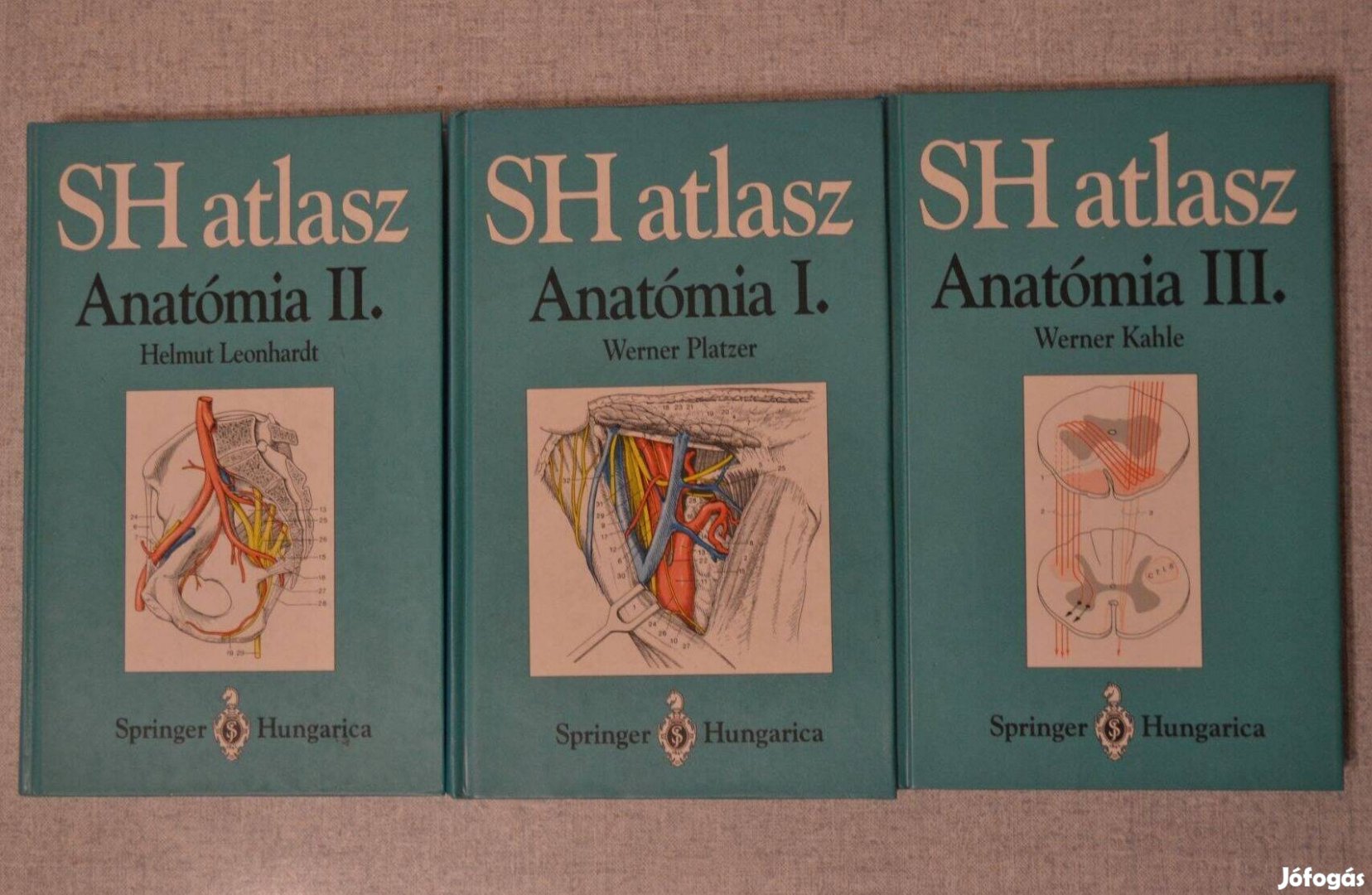 Anatómia I,II,III