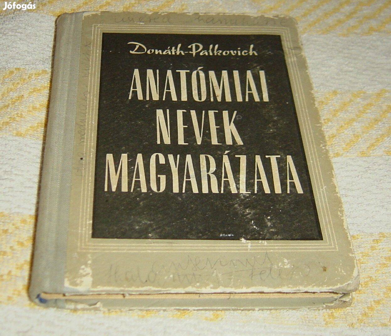 Anatómiai nevek magyarázata (kiadás 50-es évek )