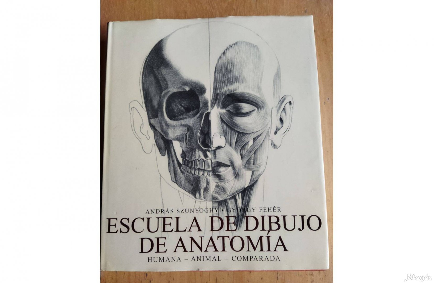 András Szunyoghy Escuela De Dibujo De Anatomia