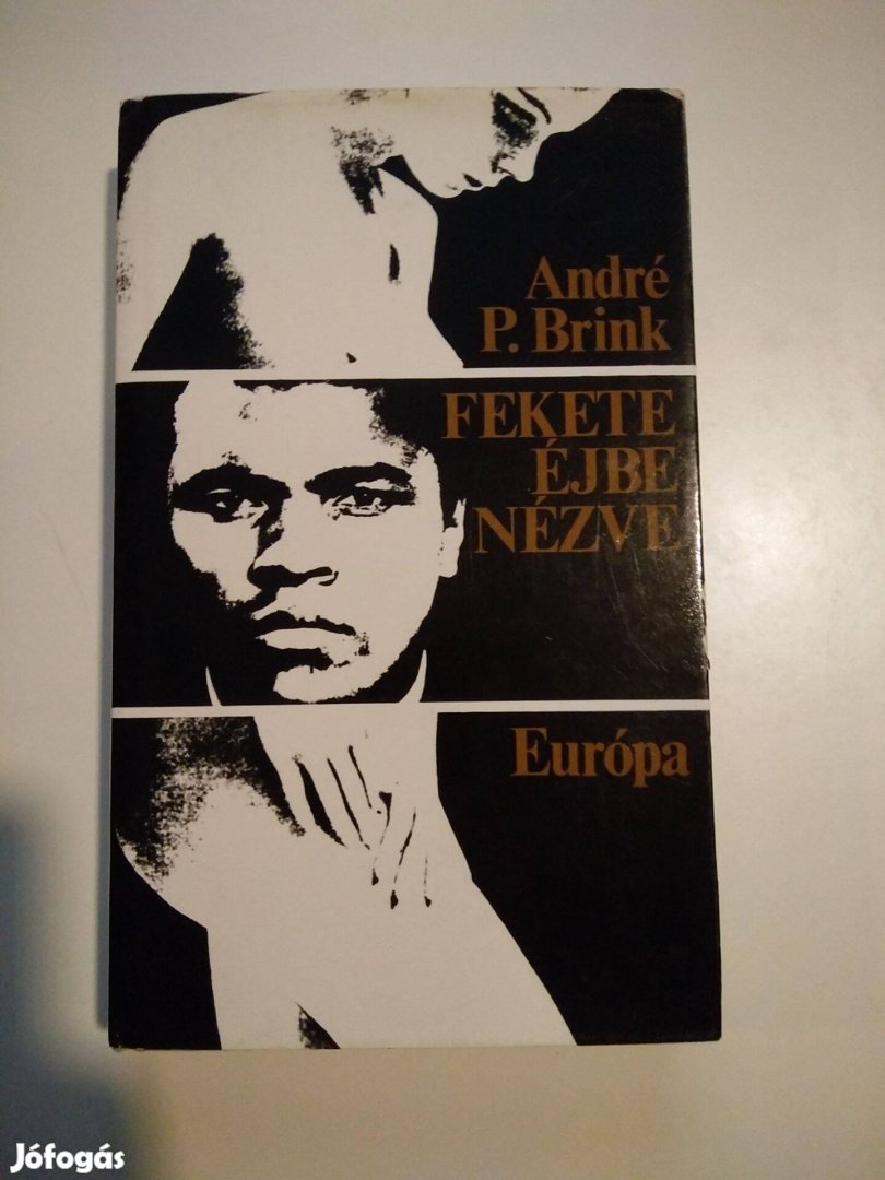 André P. Brink - Fekete éjbe nézve