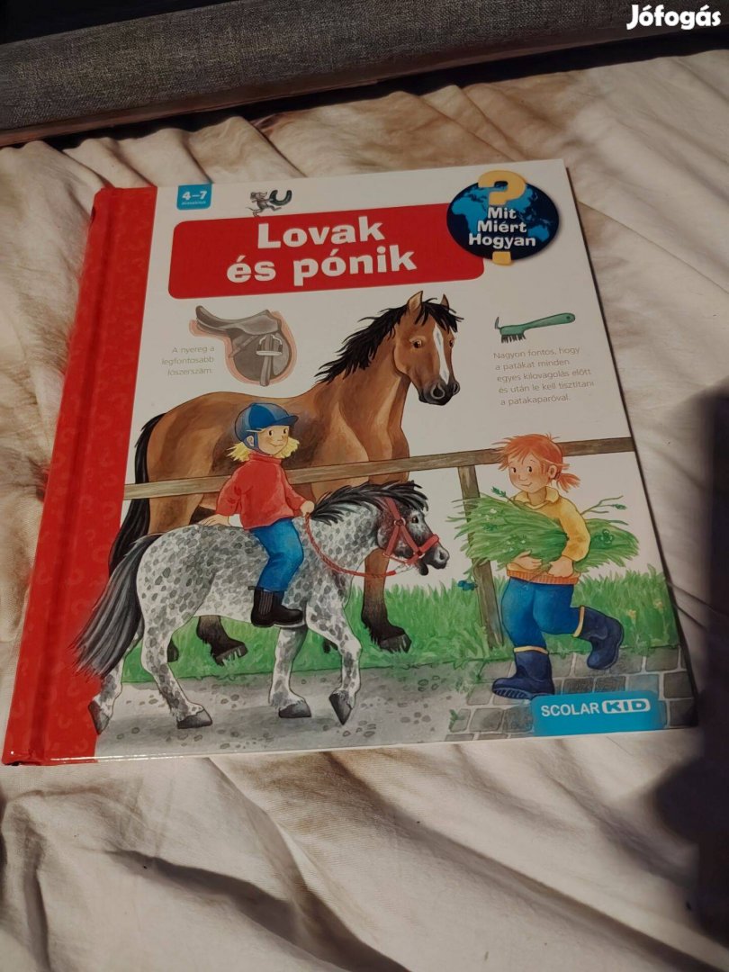 Andrea Erne Lovak és pónik Mit? Miért? Hogyan? 13.