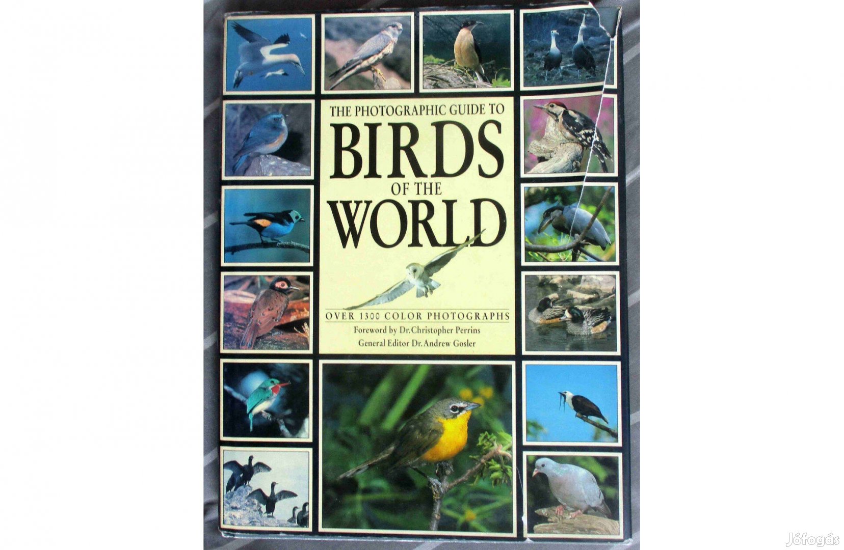 Andrew Gosler: The Photographic Guide to the Birds of the World