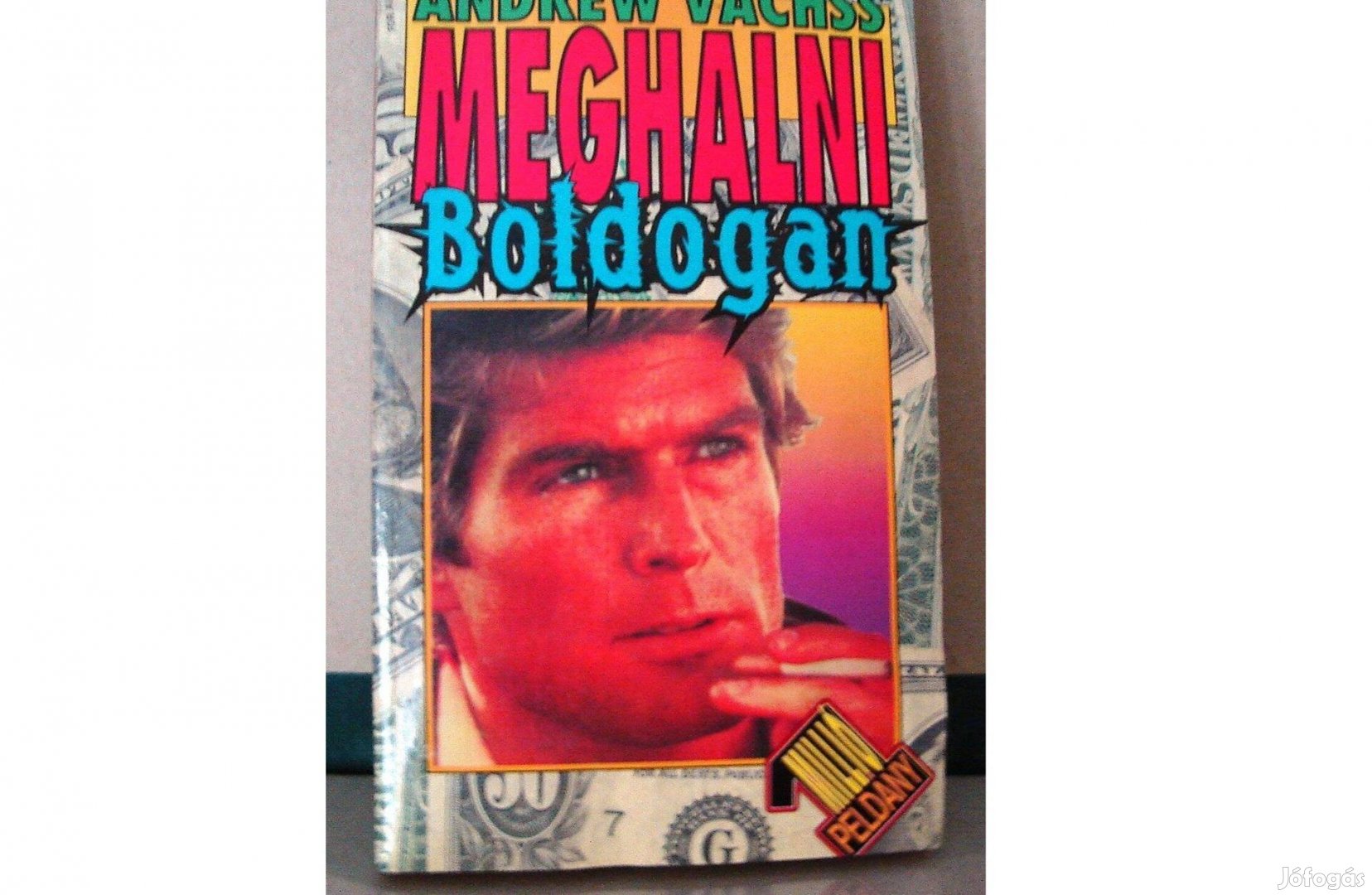 Andrew Vachss: Meghalni boldogan