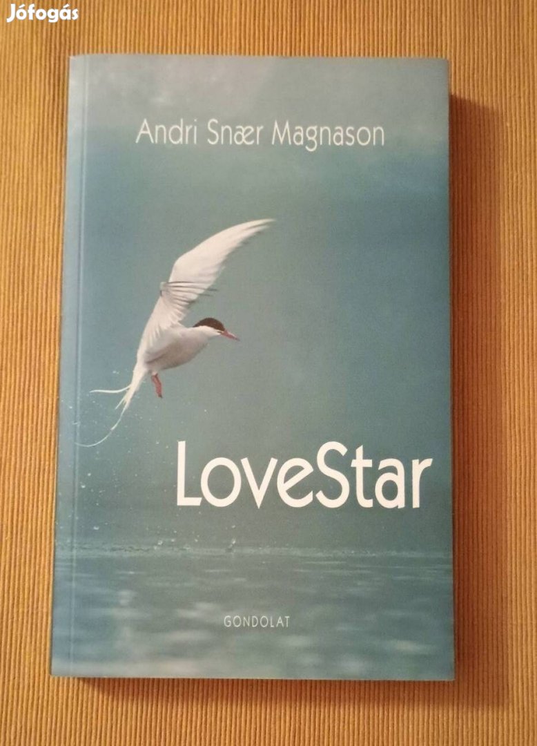 Andri Snaer Magnason: Lovestar