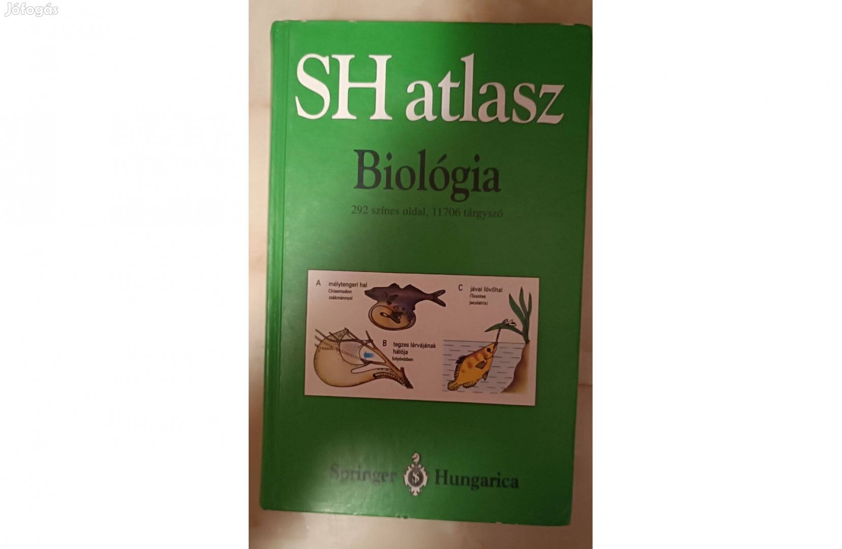 Angermann Vogel Biológia SH atlasz