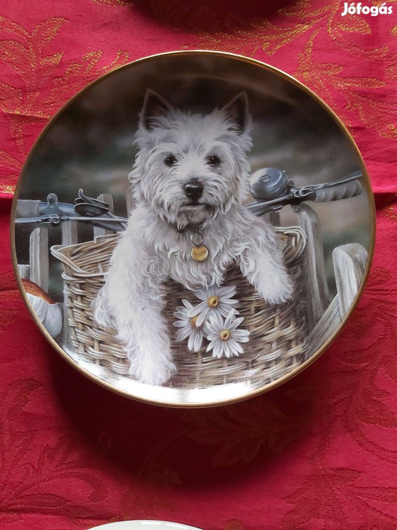 Angol fali porcelán dísztányér aranyos Westie kutyussal kerékpár kosár