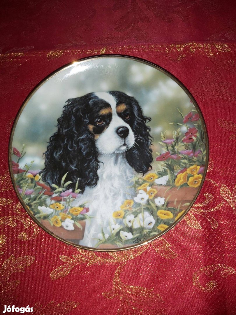 Angol porcelán dísztányér aranyos Cavalier spániel kutyussal- Vitrin