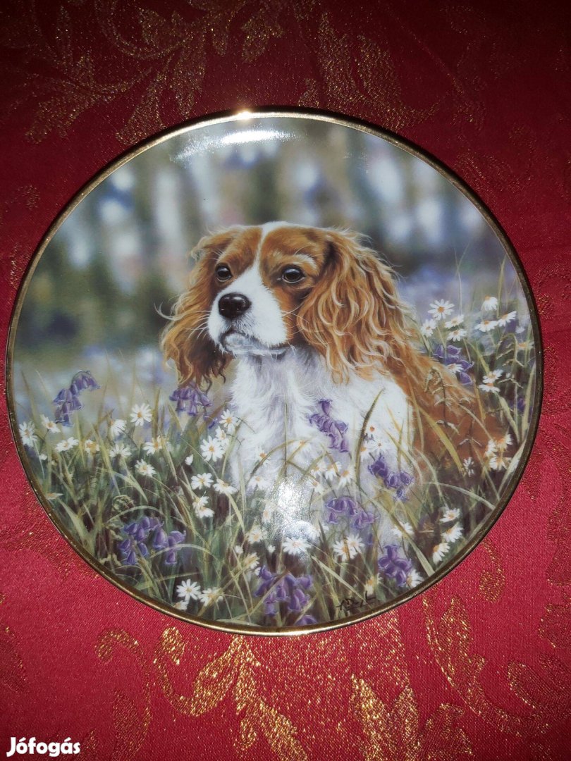 Angol porcelán dísztányér aranyos Cavalier spániel kutyussal- Vitrin