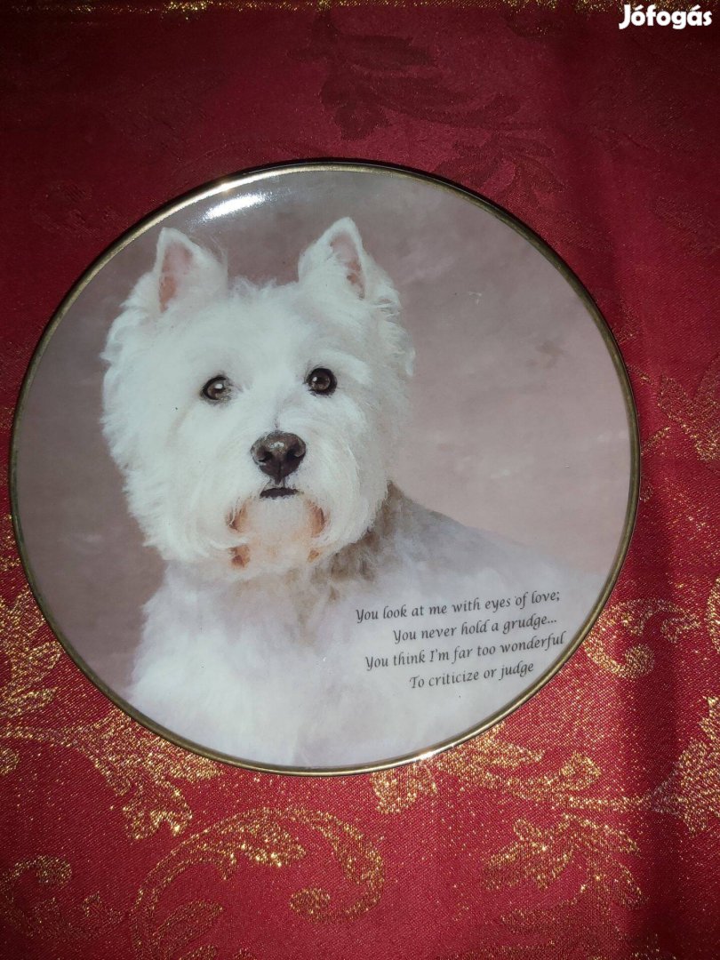 Angol porcelán dísztányér aranyos Westie kutyussal- Vitrin állapotban