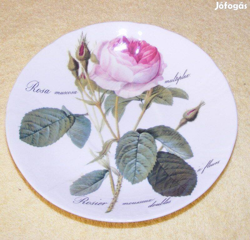 Angol porcelán rózsás tányér Roy Kirkham