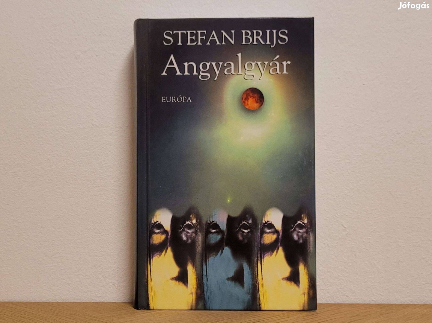 Angyalgyár - Stefan Brijs könyv eladó