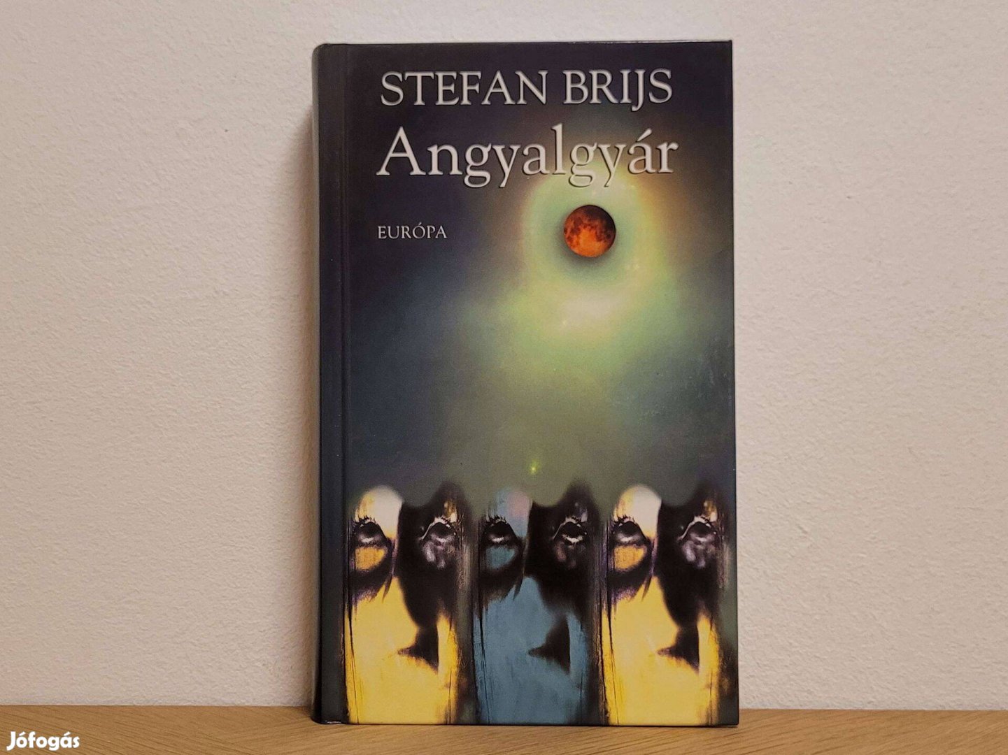 Angyalgyár - Stefan Brijs könyv eladó