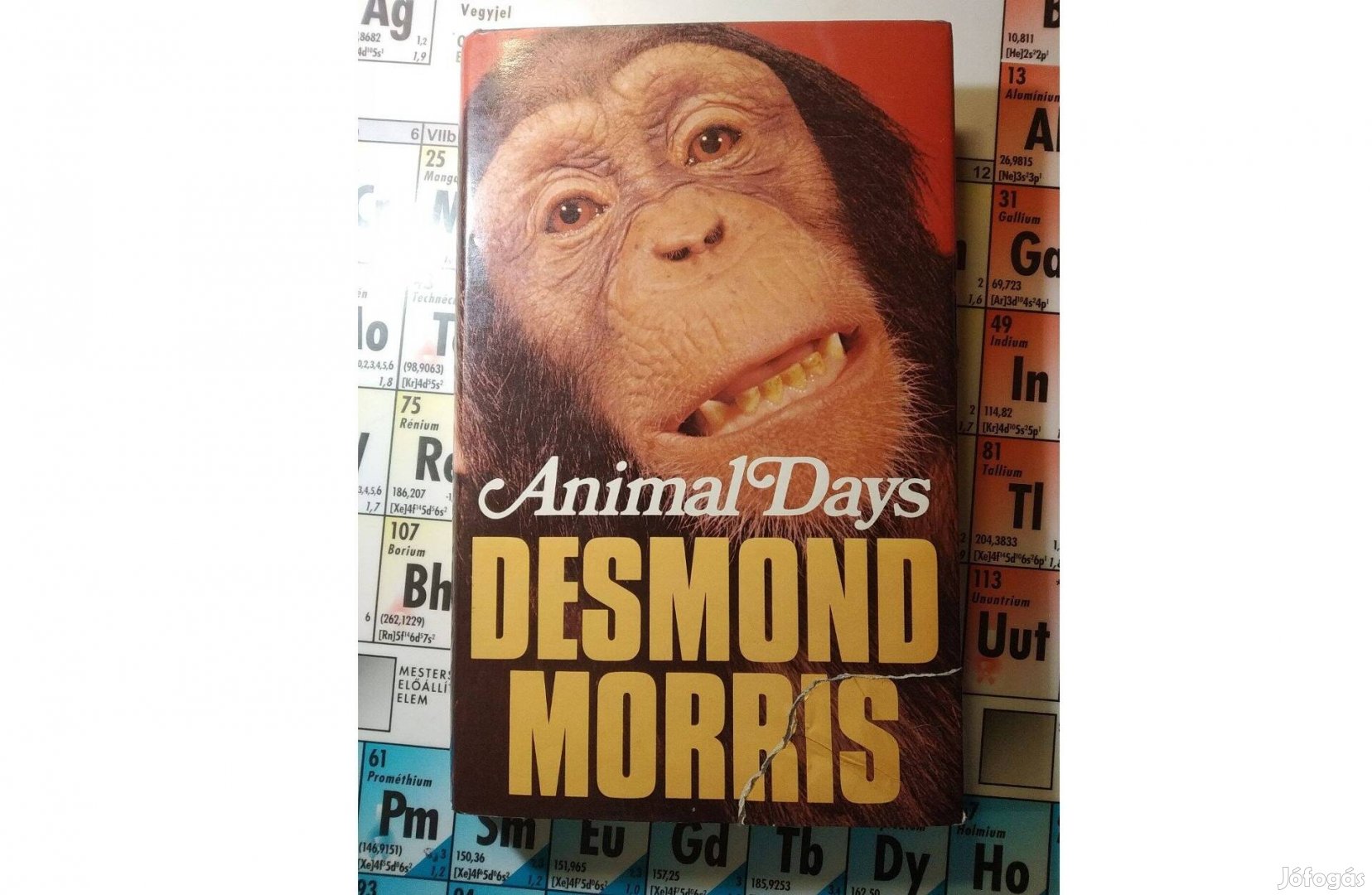 Animal days Desmond Morris