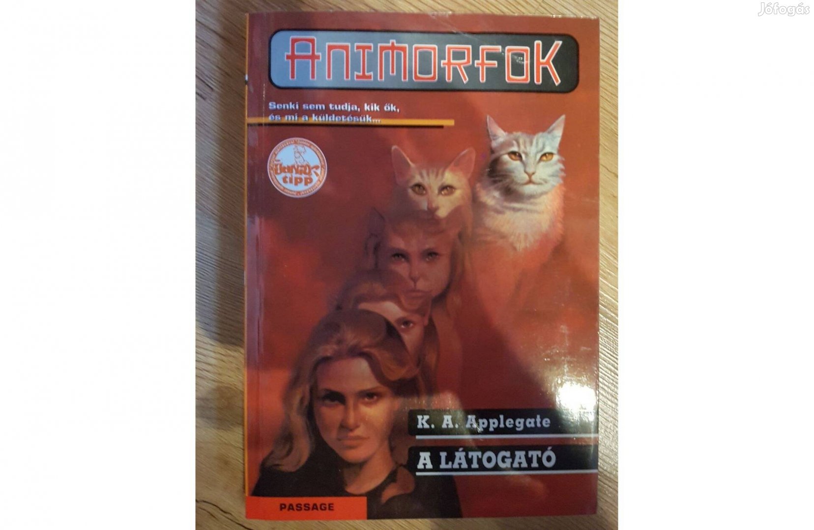 Animorfok K. A. Applegate - A látogató