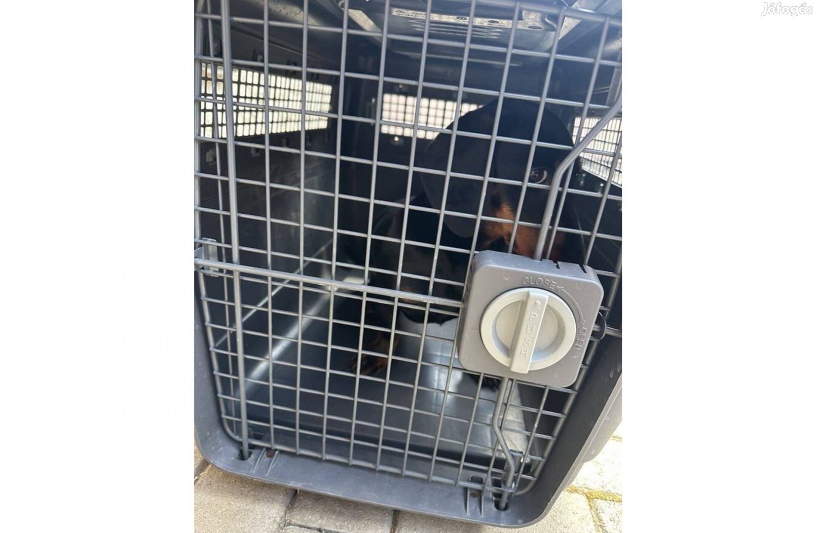 Anio Transportbox 4 (kennel)