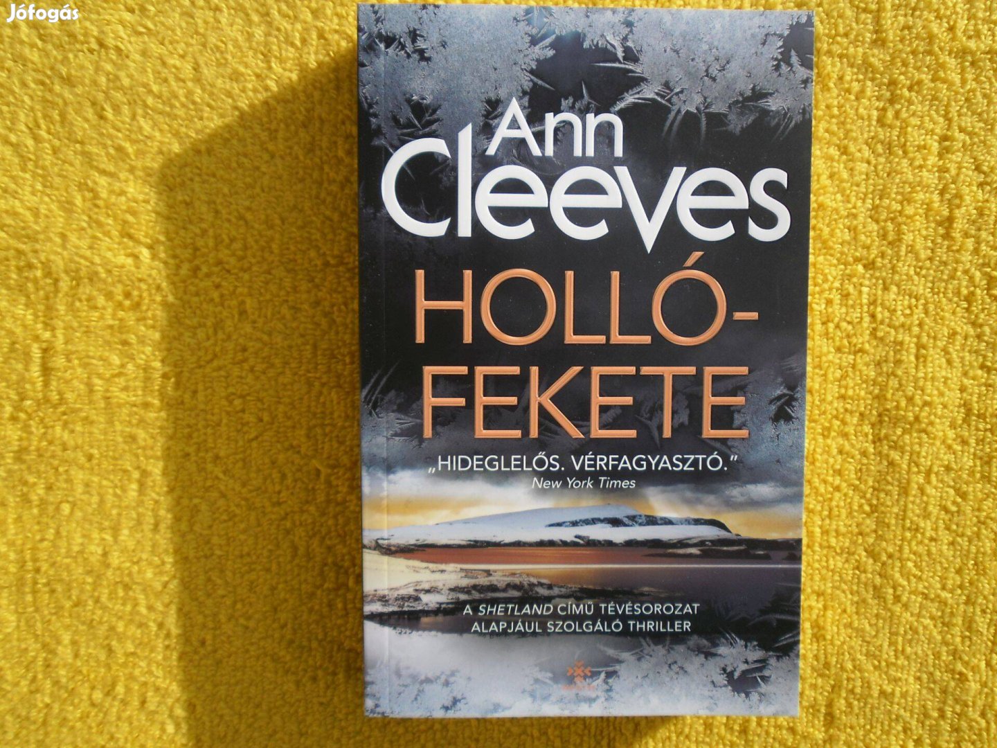 Ann Cleeves: Hollófekete