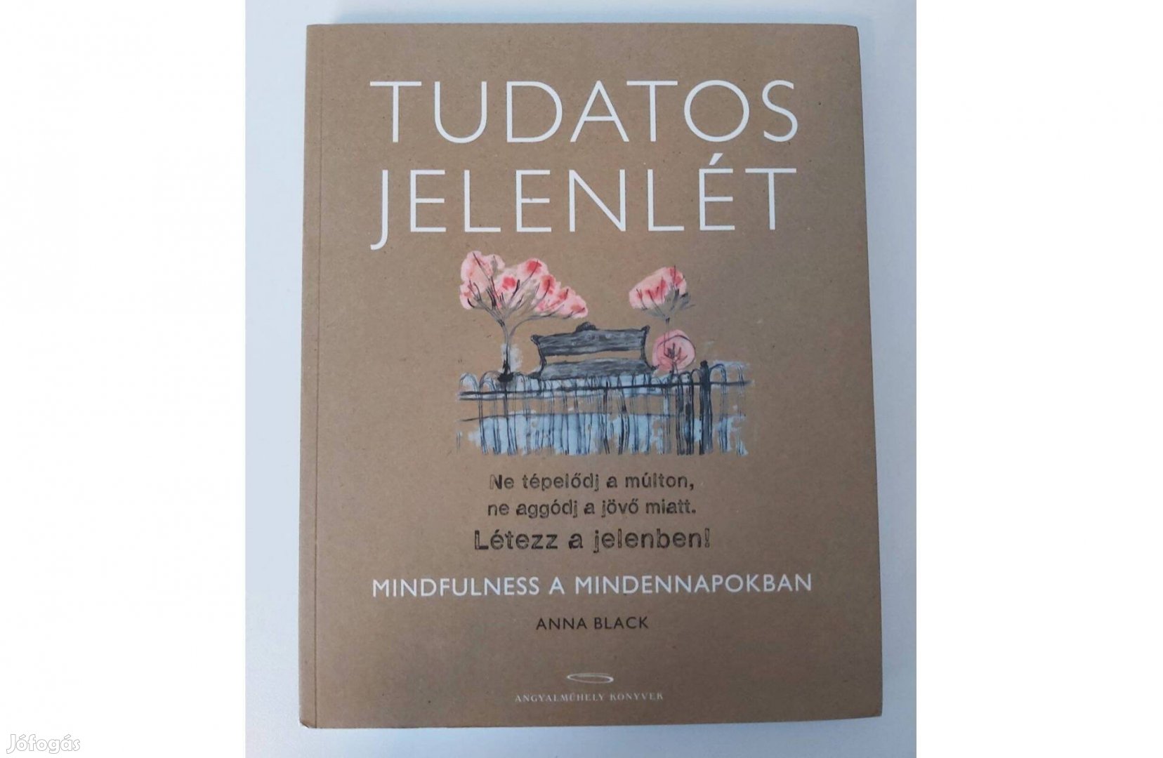 Anna Black: Tudatos jelenlét (Mindfulness a mindennapokban)