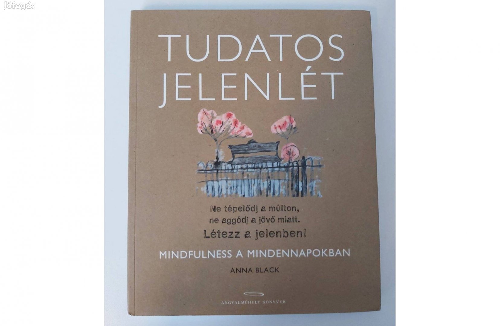 Anna Black: Tudatos jelenlét (Mindfulness a mindennapokban)