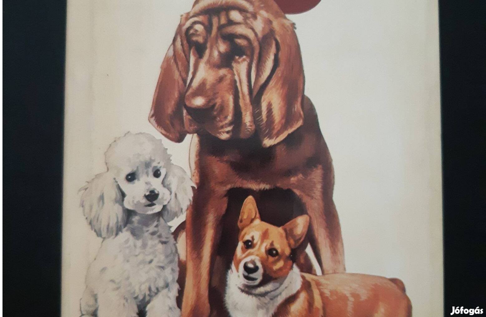 Anna Gondrexon-Ives Browne The Hamlyn Guide to Dogs
