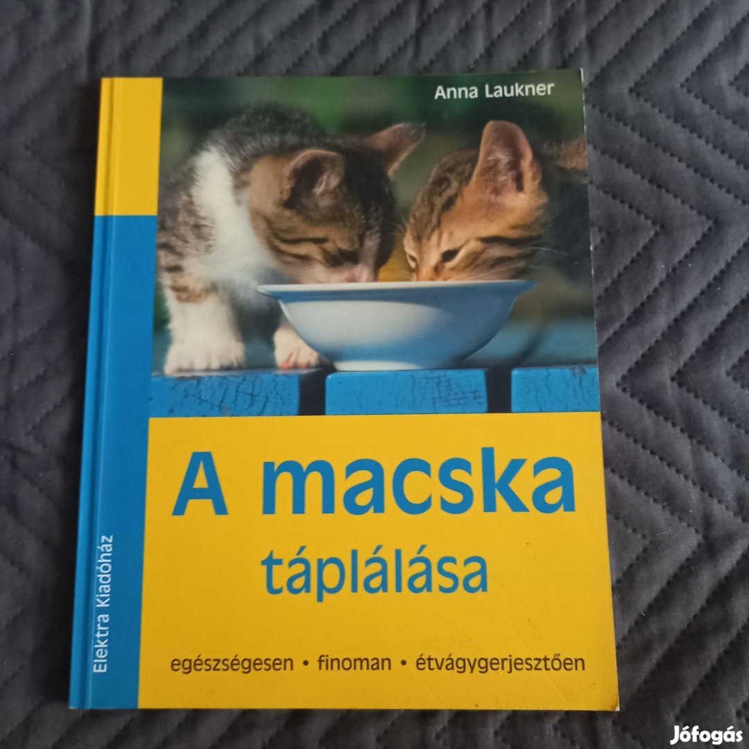 Anna Laukner: A macska táplálása